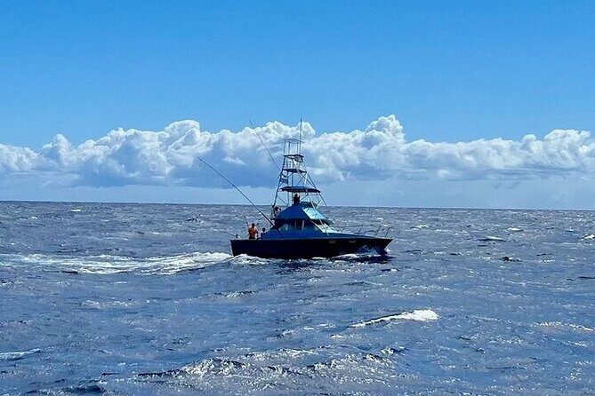 35 Foot Bertram 6 Hour Charter - The Itinerary: What Will Your Day Look Like?