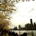 3Days New York City Tour With Professional Photographer - The Sum Up