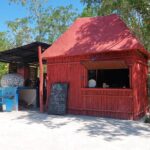 4 Casa Tortugas Cenotes Tour from Playa del Carmen - Practical Details: What to Expect