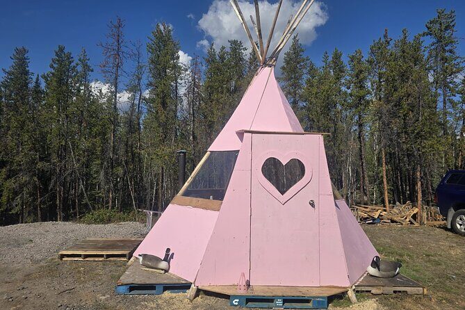 4 Days 3 Nights Yellowknife Aurora Hunting and Viewing Experience - Who Should Consider This Tour?