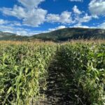 4 Days Canadian Rockies Fall/Spring Tour - The Experience: What Youll Take Away