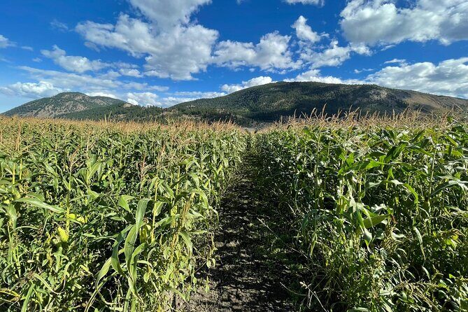 4 Days Canadian Rockies Fall/Spring Tour - The Experience: What Youll Take Away