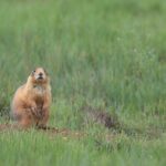 4-Hour, 5-seat ATV Rental next to Bryce National Park - Authentic Experiences and Real Traveler Insights