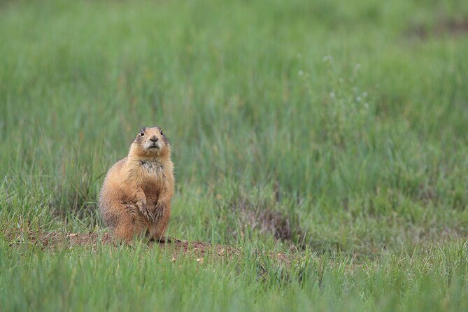 4-Hour, 5-seat ATV Rental next to Bryce National Park - Authentic Experiences and Real Traveler Insights