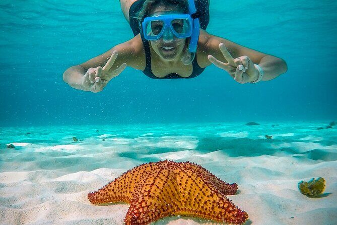 4 Hour Cozumel Reefs Snorkeling - What’s Included and How It Enhances Your Experience