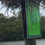 4 Hour Keewaydin Island Beach Tour - The Itinerary in Detail