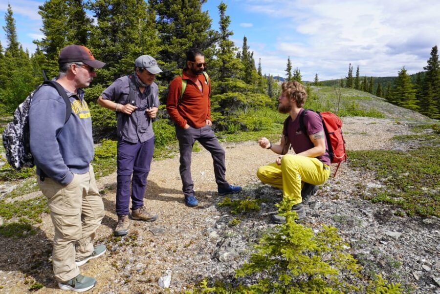 4 Hour Off-Trail Wilderness Wonders Tour in Denali - Why This Tour Is Worth It