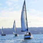 4 Hour Private Sail for up to 6 people - The Highlights: Wildlife and Customization