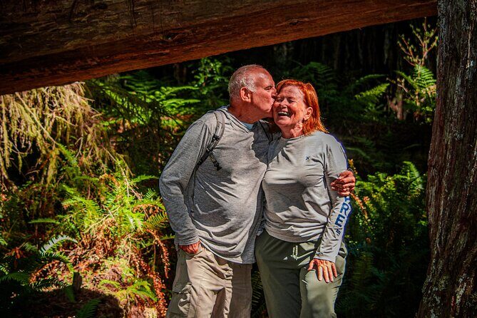 4 Hour Redwood National and State Park E Bike Adventure - Why This Tour Is a Great Choice