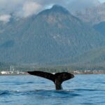 4 Hour Sitka Eco-Friendly Catch & Release Private Fishing Charter - The Sum Up: Who Is This Tour For?