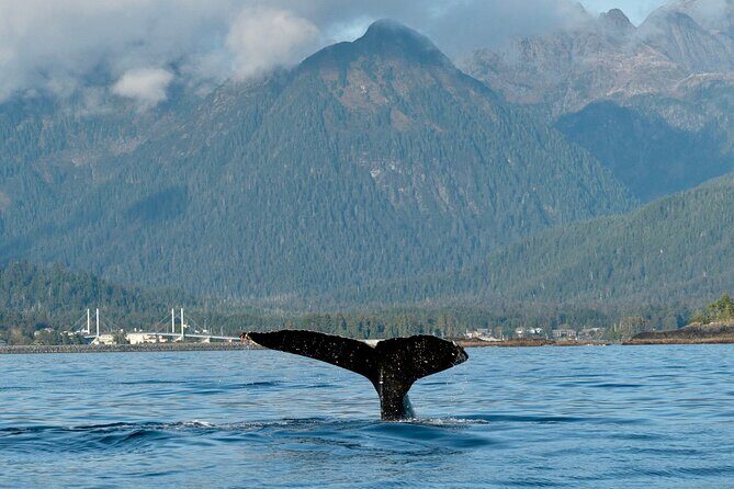 4 Hour Sitka Eco-Friendly Catch & Release Private Fishing Charter - The Sum Up: Who Is This Tour For?