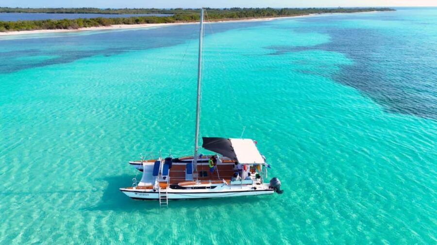 4 Hour Turtle Sanctuary Experience on a Luxury Catamarán - Food and Drinks