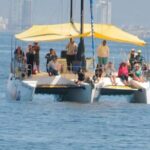 4-hour whale watching in magical Mazatlan - The Sum Up