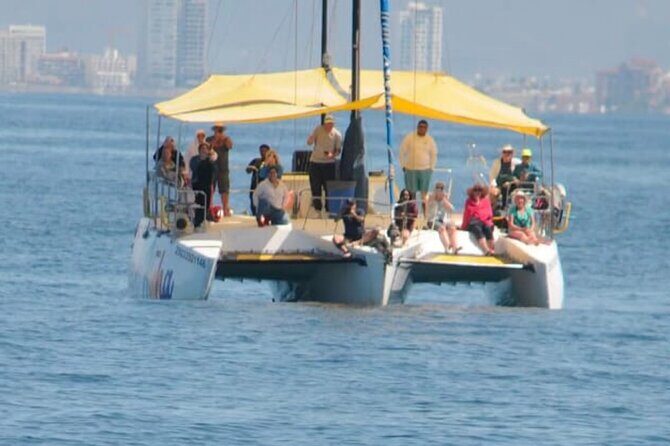 4-hour whale watching in magical Mazatlan - The Sum Up