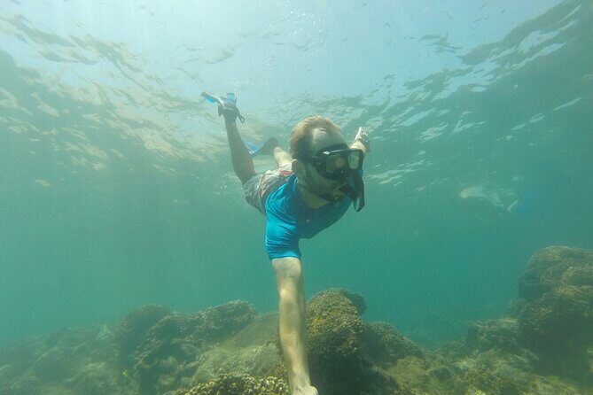 4 Hours Snorkeling Tour in Cabo San Lucas and Corridor - The Itinerary in Detail