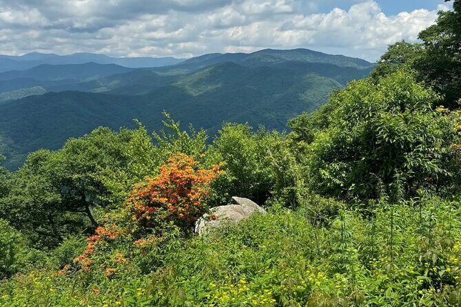 4 Hr Maggie Valley Slingshot Automatic Rental - The scenic route and stops