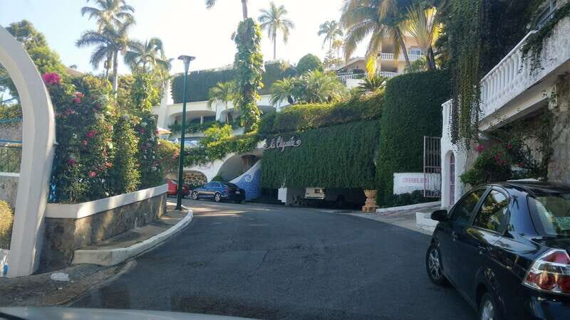 .4-Hrs Cruise or Hotels City Tour Experience w/High Divers - The Actual Experience