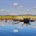 4-in-1 Tour - Mazunte,Cacao Factory, La Ventanilla & Turtle Spawn - Lunch and Leisure