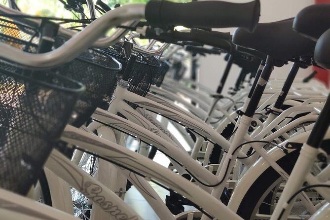 4 to 7 Day Beach Cruiser Rental (Up to 7 Days, includes Ulock) - Exploring Playa del Carmen on Two Wheels