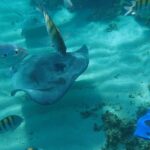 4H Lux 40' Catamaran All-Inclusive in Tulum and Playa del Carmen. - Analyzing the Value