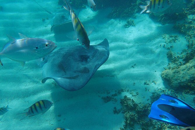 4H Lux 40' Catamaran All-Inclusive in Tulum and Playa del Carmen. - Analyzing the Value