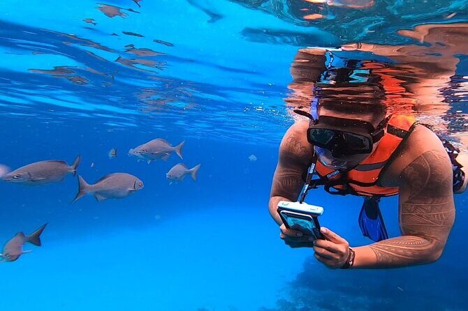 4H Luxury 44' Catamaran All-Inclusive in Tulum & Playa del Carmen - Who Will Love This Tour?