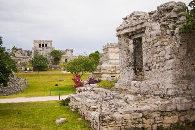 4x1 Explore TULUM Coba, Cenote and Mas, with transportation + Lunch. - What the Reviews Say