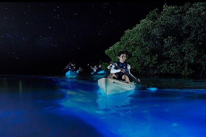 5 day California Vineyards, Waves and Wine small group tour - Day 2: Coastal Delights in Tomales Bay