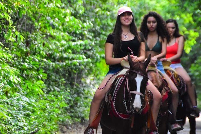 5 Day Exploration of Chichen Itza and Riviera Maya from Cancun - What Travelers Say