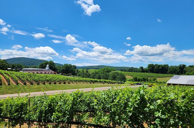 5 Hour Historic Thomas Jefferson Wine Tour - FAQ