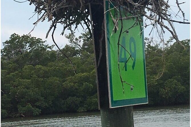 5 Hour Keewaydin Island Beach Tour - FAQ