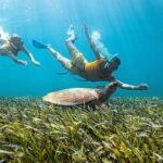 5-in-1 Cancun Snorkeling: Turtles, Reef, Musa, Shipwreck, Cenote - Authentic Insight from Travelers