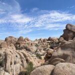 5G USA eSIM - Up to 50GB with Zero Roaming Fees - Exploring the Itinerary and Coverage