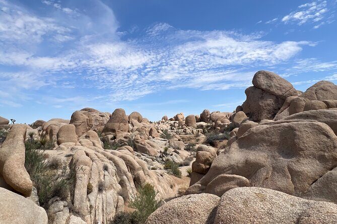 5G USA eSIM - Up to 50GB with Zero Roaming Fees - Exploring the Itinerary and Coverage