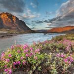 6 Day Grand Alaska Highlights Tour - Day 2: Wildlife and Glaciers at Kenai Fjords National Park