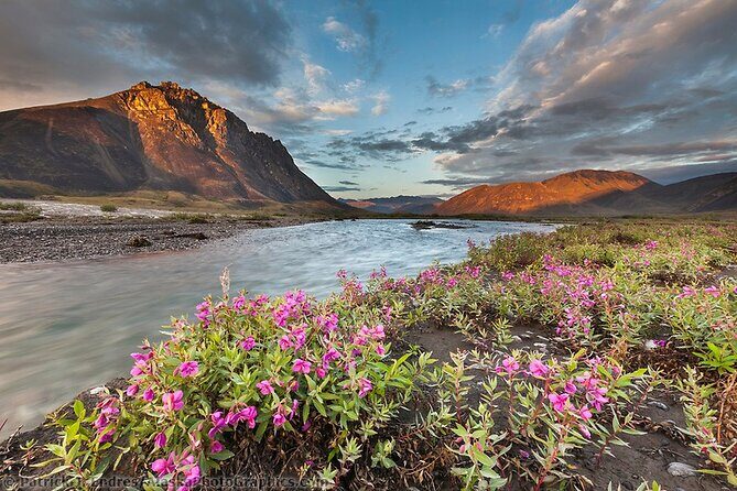 6 Day Grand Alaska Highlights Tour - Day 2: Wildlife and Glaciers at Kenai Fjords National Park
