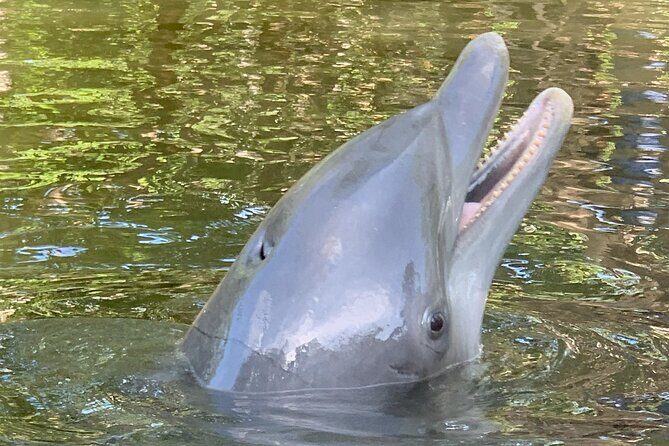 6 Hour Florida Keys Fishing Charter - Final Thoughts: Why Choose This Experience?