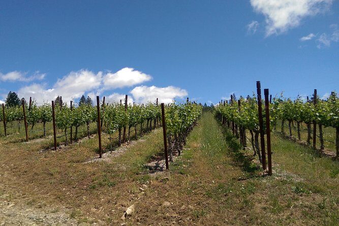 6 Hour Napa or Sonoma Wine Tour in Private Limousine - Who Should Consider This Tour?