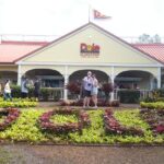 6-Hour Private Customized Luxury Convertible Tour of Oahu's North Shore - Who Should Consider This Tour?