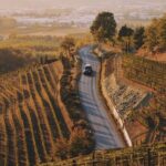 6-hour Private Luxury SUV Wine Tour in Napa Or Sonoma Valley - The Itinerary in Detail