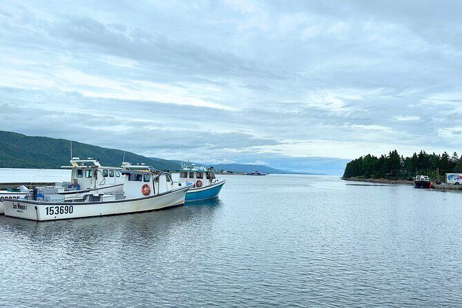 6 Hours Cabot Trail, Keltic Lodge and Ingonish Sights Tour - The Itinerary Breakdown: What You Can Expect