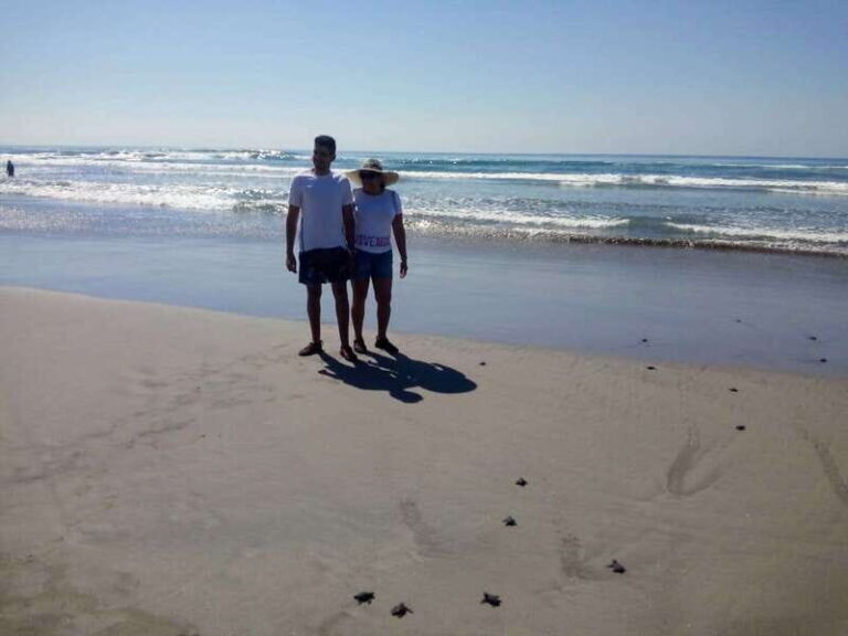 .6Hr Tour Diving Show Baby Turtle Release & All Attractions - A Fully Detailed Look at the Tour