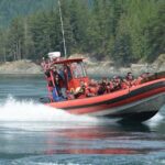 7-8 Hour Zodiac Whale Watching Tour - The Zodiac Boat: Fast, Fun, and Cozy