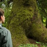 7 Day Guided Small Group Tour On Vancouver Islands West Coast - Who Will Love This Tour?