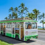 7 Day Pass LeaLea Trolley and Waikiki Trolley Pink Line - Who Will Love This Tour?