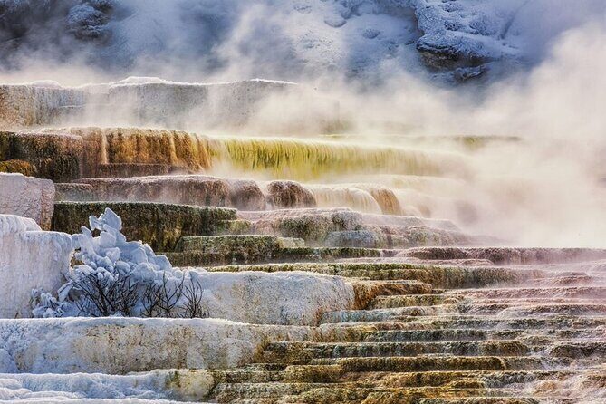 7-Day Tour in Yellowstone and Las Vegas From Salt Lake City - The Value of This Tour