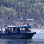 7 Hour Big Animal Encounter - The Experience on the Water