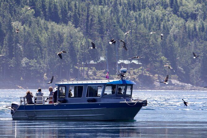 7 Hour Big Animal Encounter - The Experience on the Water