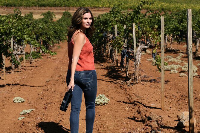 8-Hour Exclusive Wine Tour Experience for up to 6 Guests / Napa-Sonoma - Authentic Experiences & Memory-Making