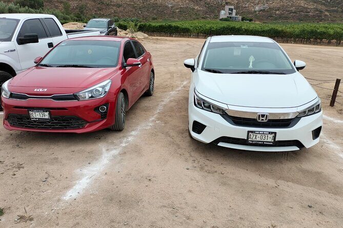 8 Hour Private Tour in the Guadalupe Valley 1-4 Passengers - Who Will Love This Tour?